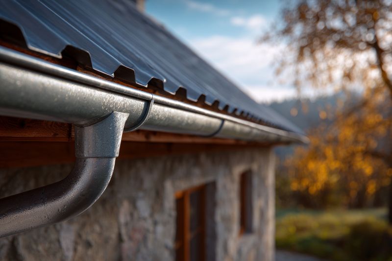 Steel Gutters Service detail