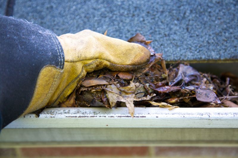 Residential Gutter Clearing